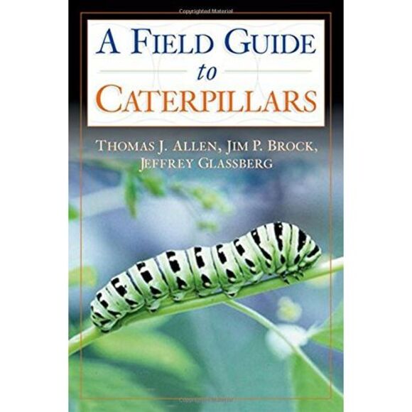 Caterpillars in the Field and Garden: A Field Guide to the Butterfly Caterpillar - Picture 2 of 4